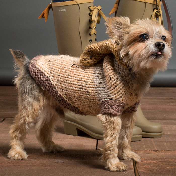 Puppy Sweater Knitting Pattern (XS Puppy) - Handy Little Me