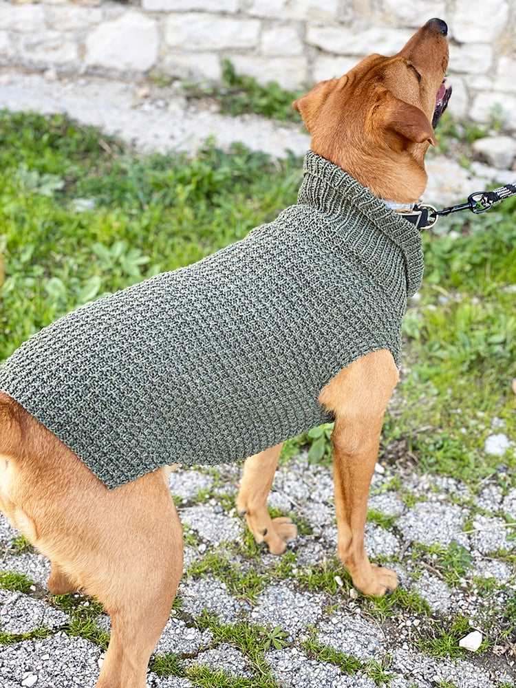 10+ Free Knitted Dog Sweater Patterns - MorayJevgenijs