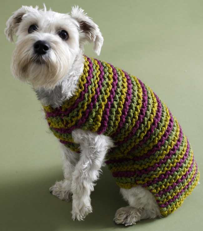 How to make a seamless dog sweater: A step-by-step knitting tutorial 