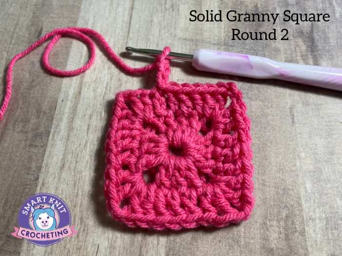 Red Heart Crochet Granny Motif Dog Coat
