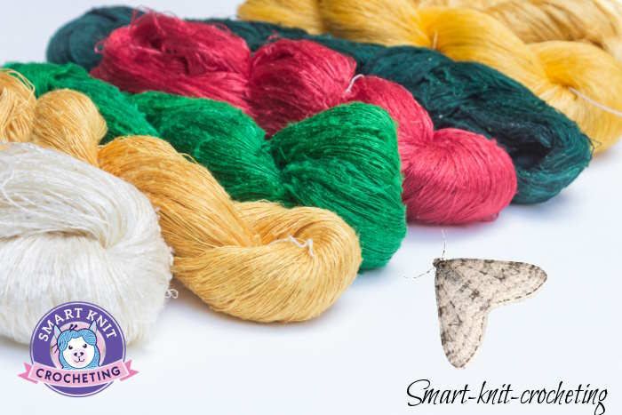 Clothes Moths: How to Save Your Yarn Stash, Fabric, Wardrobe, and